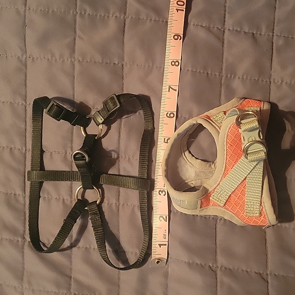 Xsmall dog harnesses